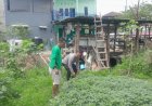 Kapolsek-Sukodono-Apresiasi-Warga-yang-Produktif-Manfaatkan-Lahan-untuk-Ketahanan-Pangan