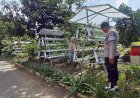 Bhabinkamtibmas-Desa-Sumorame-Bersinergi-dengan-Ketua-Bumdes-Giatkan-Tanaman-Sawi-Hidroponik