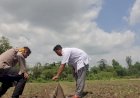 Bhabinkamtibmas-Wonokalang-Wonoayu-Tinjau-Lokasi-Ketahanan-Pangan-Warga