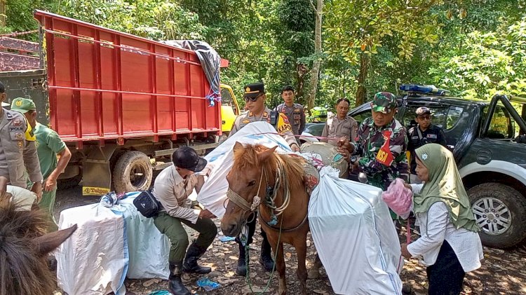 Distribusi Logistik Pemilu di Daerah Terpencil Pakai Kuda, Polres Jember Lakukan Pengawalan Jalan Kaki