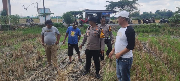 Polsek Balongbendo Meninjau Lahan Pertanian Guna Ketahanan Pangan