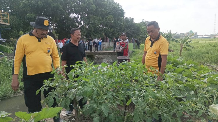 Kapolsek Krian Turun Langsung Cek Ketahanan Pangan di Desa Junwangi