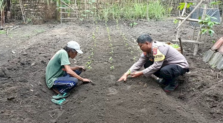 Wujudkan Ketahanan Pangan, Bhabinkamtibmas Polres Nganjuk Ajak Warga Manfaatkan Lahan Sela