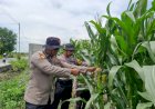 Sinergi-Polri-dan-BUMDes-Dukung-Ketahanan-Pangan