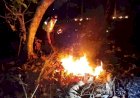 Respons-Cepat,-Polsek-Widodaren-dan-Tim-Gabungan-Padamkan-Titik-Api-Karhutla-di-Ngawi