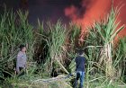 Polisi-Bersama-Masyarakat-Padamkan-Karhutla-di-Lahan-Tebu-Desa-Popoh