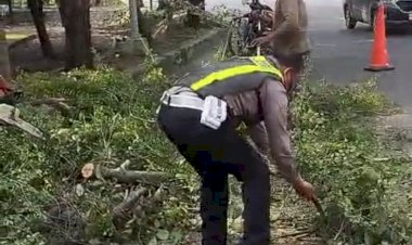 Sinergi-Anggota-Polsek-Buduran-dan-DLHK-Sidoarjo-Sigap-Tangani-Pohon-Tumbang-di-Depan-Museum-Mpu-Tantular