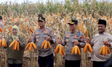 Kapolda-Jatim-dan-Gubernur-Panen-Jagung-di-Green-Farm-Banyuwangi-Penuhi-Target-Swasembada-Pangan