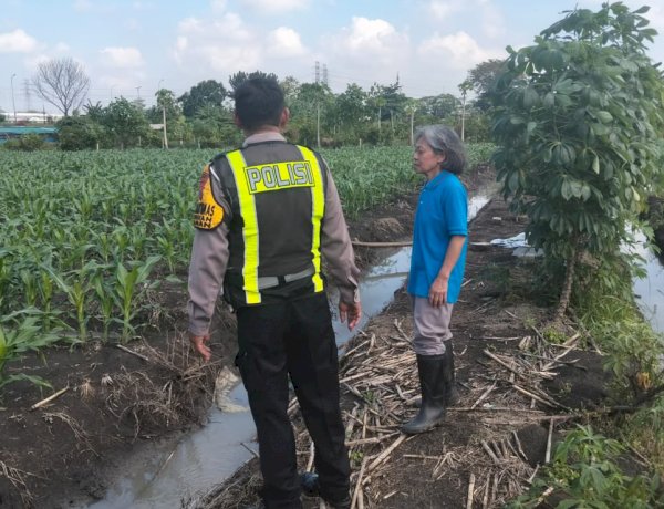 Patroli Ketahanan Pangan, Polsek Taman Pastikan Pertumbuhan Jagung di Sepanjang Berjalan Optimal