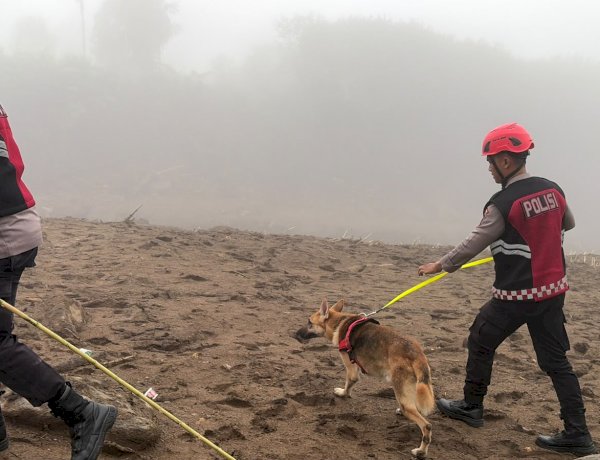 Unit Polsatwa Ditsamapta Polda Sumbar Turunkan K9 Spesifikasi SAR Telusuri Jalur Air Bah