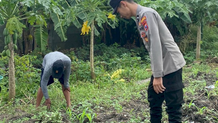Polsek-Waru-Kawal-Jagung-Tumbuh-Subur-di-Pepelegi,-Wujud-Nyata-Polisi-Cinta-Petani-Dukung-Swasembada-Pangan